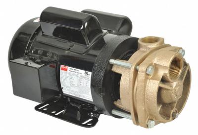 Dayton Turbine Pump: 2 hp, 115/208-230V AC, 100 psi Shut Off, Capacitor-Start/Run - Turbine Centrifugal Pumps