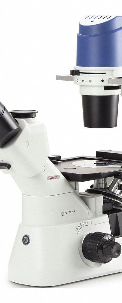 GLOBE SCIENTIFIC Microscope: Compound - Compound Microscopes