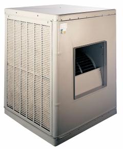 CHAMPION Ducted Evaporative Cooler: 4,000 sq ft, 2 in Pad Thick, 3/4 hp HP (MPN 7K594). Key specifications — Brand: CHAMPION; Evaporative Cooler Voltage: 115/208-230V AC; Drive Package Installation: Assembly Required; Includes Drive Package: Drive Package Included.