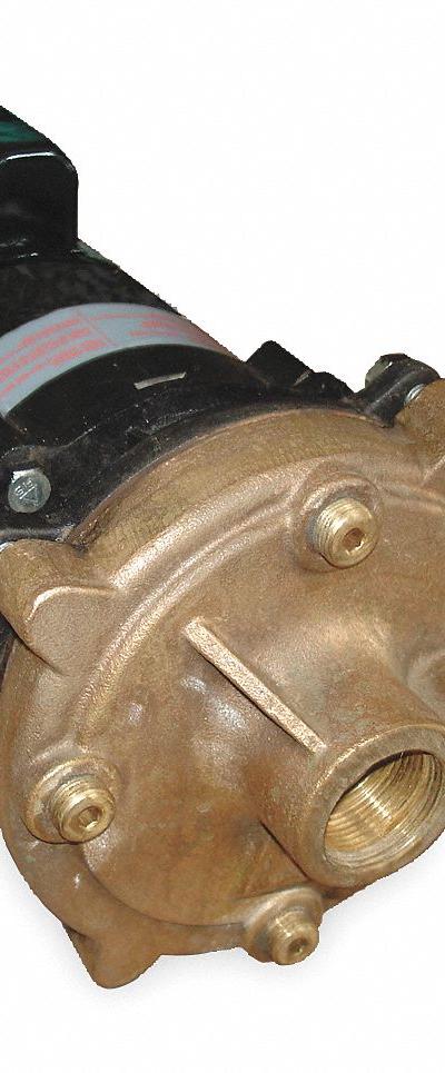 DAYTON Centrifugal Pump: 1/2 hp - 1/4 to 3/4 HP Straight Centrifugal Pumps