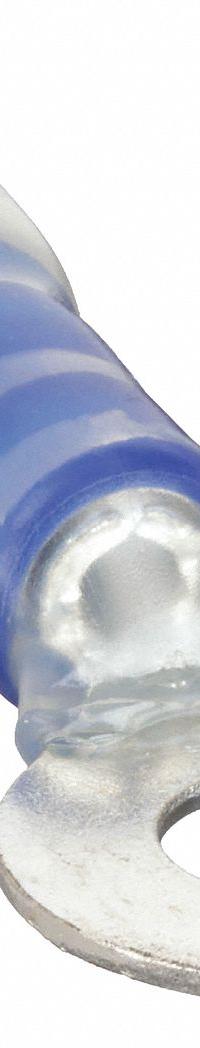 VELVAC Ring Terminal: Blue, Nylon Insulation, #6 Stud Size, 16 AWG to 14 AWG Wire Sizes, 600 V (MPN 30312). Key specifications — attr1308027: VELVAC.