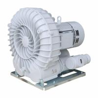 SCHMALZ Vacuum Blower: 610 cu m/hr, 100 mm, 4 in G Female, 10.04.01.00101, SB, 44.8/22.4/46.5 A. Key specifications — attr123938: 10.04.01.00101; attr1014957: 230/460V; attr1014966: 44.8/22.4/46.5 A.
