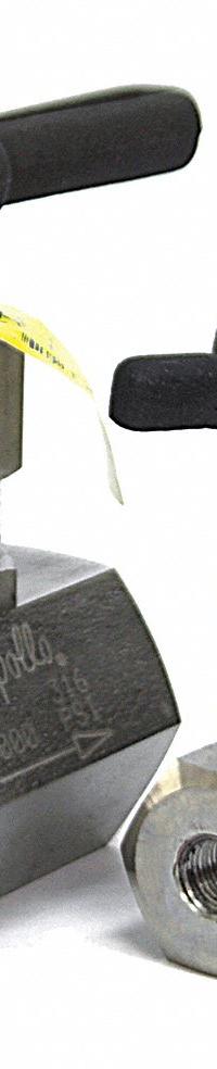APOLLO Globe Valve: For Air/Fluids/Gas Media, 316 Stainless Steel, Z-Body, 1/2 in Pipe Size, Female (MPN 60B70301). Key specifications — Brand: APOLLO; Stem: Rising.