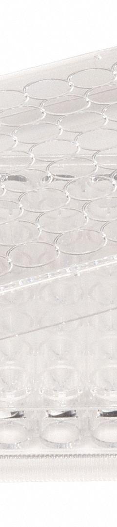 CELLTREAT Tissue Culture Well Plate: Sterile, 96 Wells, 0.2 mL, RNase/DNase Free, Polystyrene (MPN 229197). Key specifications — Brand: CELLTREAT; Body Color: Colorless; RNase/DNase Free: Yes; Material: Polystyrene.