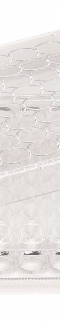 CELLTREAT Tissue Culture Well Plate: Sterile, 96 Wells, 0.2 mL, RNase/DNase Free, Polystyrene (MPN 229197). Key specifications — Brand: CELLTREAT; Body Color: Colorless; RNase/DNase Free: Yes; Material: Polystyrene.