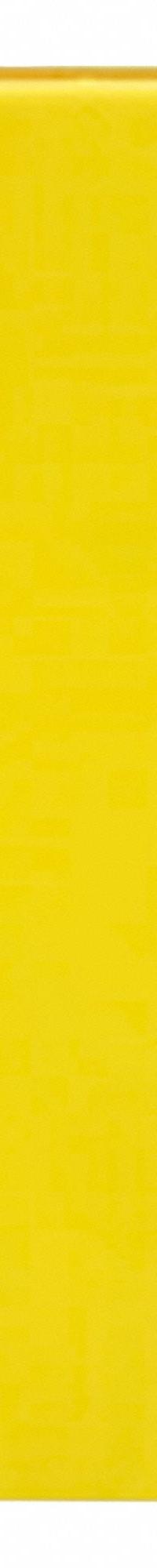 LEVITON Weatherproof Cover: Valox PBT, Wetguard, Blank Cover, 1 Gangs, 4 5/8 in Overall Ht, 4/4X (MPN WP459). Key specifications — Brand: LEVITON; Color: Yellow; Compatible with Product Type: Blank Cover; Compatible with Series: Wetguard; Mounting Orientation: Horizontal or Vertical.