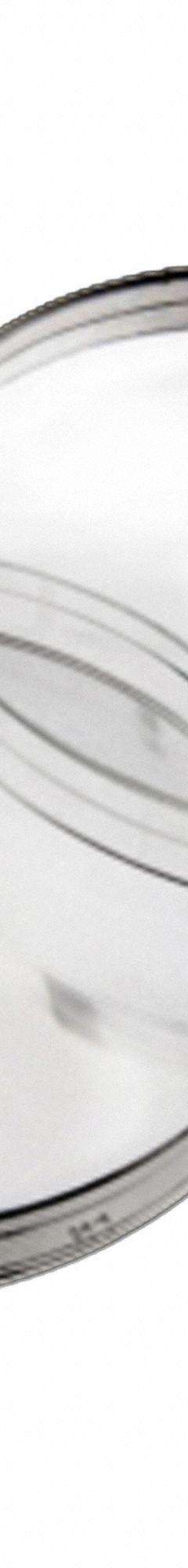 Petri Dish: 100 mm Dia, 10 mm Overall Ht, Tissue Culture Treated, Polystyrene, Sterile, Clear (MPN 229691). Key specifications — Material: Polystyrene; Brand: CELLTREAT; Surface Type: Tissue Culture Treated.