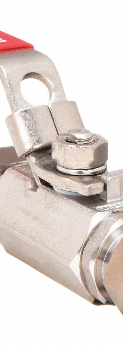HAM-LET Manual Two-Way Ball Valve: 1 in - Straight-Body Stainless Steel Ball Valves