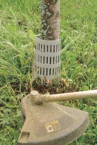 APPROVED VENDOR Tree Protector: 9 x 12 in Product Size, Gray Polyethylene (MPN 1121)