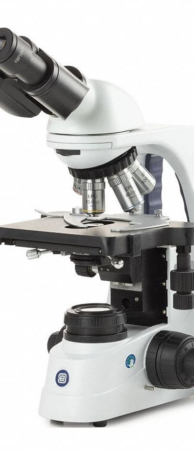 GLOBE SCIENTIFIC Microscope: Compound - Compound Microscopes