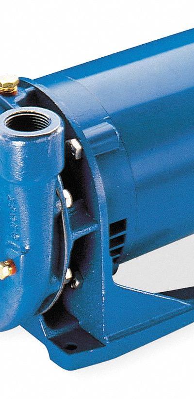 GOULDS WATER TECHNOLOGY Centrifugal Pump: 1/2 hp - 1/4 to 3/4 HP Straight Centrifugal Pumps