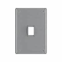 LEGRAND Wall Plate: Toggle, 1 Gang, Silver, Jumbo Size (MPN WSP61S2PS). Key specifications — Brand: LEGRAND; Material: Stainless Steel; Includes: Allen Head Screws.