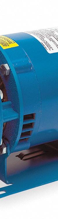 Centrifugal Pump: 1/3 hp, 115/230V AC, 52 ft Max Head, 1 1/4 in , 1 in Intake and Disch (MPN 1BF40312). Key specifications — Brand: GOULDS WATER TECHNOLOGY; Motor Enclosure Type: ODP.