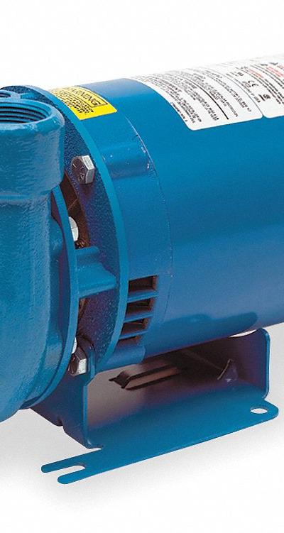 GOULDS WATER TECHNOLOGY Centrifugal Pump: 1/3 hp - 1/4 to 3/4 HP Straight Centrifugal Pumps