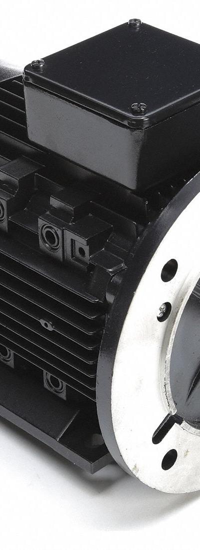 LEESON Metric Motor: 1 hp - C-Face with Rigid Base 3-Phase IEC Metric General Purpose AC Motors