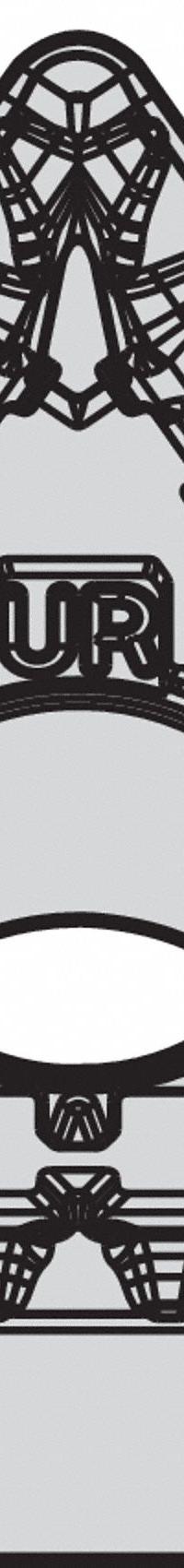 WIDIA Triangle Turning Insert: TNMG332UR, TNMG160408UR (MPN 4170522). Key specifications — attr257938: TNMG332UR; attr257939: TNMG160408UR.