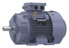 MARATHON MOTORS Metric Motor: 20 hp, Rigid Base Mount, 160L Frame Size, Totally Enclosed Fan Cooled (MPN TCA0152AE211GAA009). Key specifications — Brand: MARATHON MOTORS; Nameplate Voltage @ 60 Hz: 230/460V AC; Full Load Amps @ 60 Hz: 50.0/25.1 A; Nameplate RPM @ 60 Hz: 1775 RPM; Motor Enclosure: TEFC.