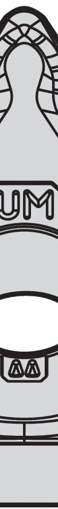 WIDIA Triangle Turning Insert: TNMG433UM, TNMG220412UM (MPN 4172402). Key specifications — attr257938: TNMG433UM; attr257939: TNMG220412UM.