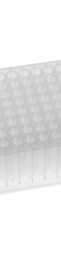 MTC BIO Well Plate: Non-Sterile, 96 Wells, 1.3 mL, 7.4 mm Dia, RNase/DNase Free, Round, Polystyrene (MPN DP13VR-9I-N). Key specifications — Brand: MTC BIO; Body Color: Colorless; RNase/DNase Free: Yes; Well Shape: Round; Material: Polystyrene.