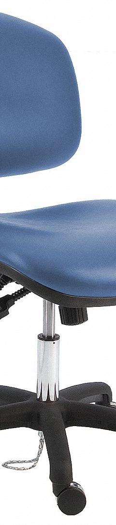 Ergonomic Chair: Vinyl, Armless, Ht Range 17 in to 22 in, 21 1/2 in Seat Wd, 19 in Seat Dp, 0 Glides (MPN WNS-DCRB-TLC-WW-BLUE). Key specifications — Foot Support: No; Back Tilt Backward: 80°; Back Tilt Forward: 105°; Base Material: Nylon; Brand: BENCHPRO; Product Type: Cleanroom Ergonomic Chair; Cleanroom Class: ISO 5; ESD-Safe: Not ESD Safe.