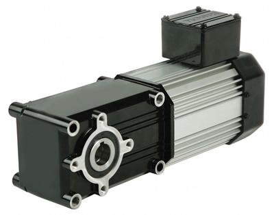 BISON AC Gearmotor: Right Angle, Hollow, PSC, TEFC, 21 RPM, 480 in-lb Max Torque - Hollow Shaft Right Angle AC Gearmotors
