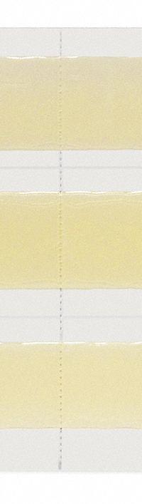 CATCHMASTER Glue Trap: Glue Trap, 1 3/8 in Overall Ht, 5 in Overall Wd, Paperboard, 10 PK (MPN 72TC3R). Key specifications — Reusable: No; Material: Paperboard; Brand: CATCHMASTER.