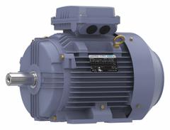 MARATHON MOTORS Metric Motor: 10 hp, Rigid Base Mount, 132M Frame Size, Totally Enclosed Fan Cooled (MPN TCA7P52AP211GAA009). Key specifications — Brand: MARATHON MOTORS; Nameplate Voltage @ 60 Hz: 575V AC; Full Load Amps @ 60 Hz: 10.2 A; Nameplate RPM @ 60 Hz: 1740 RPM; Motor Enclosure: TEFC.