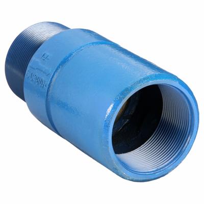 Dayton Spring Check Valve: Inline Valve Body, 3 in Pipe Size, MNPT x FNPT, Ductile Iron - Ductile Iron Poppet Check Valves