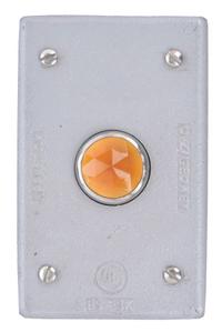 APPLETON ELECTRIC Weatherproof Cover: Aluminum, FD/FS, Pilot Lamps, 1 Gangs, 4 9/16 in Overall Ht (MPN FSK-1JACA). Key specifications — Brand: APPLETON ELECTRIC; Color: Gray; Compatible with Product Type: Pilot Lamps; Compatible with Series: FS; Mounting Orientation: Horizontal or Vertical.