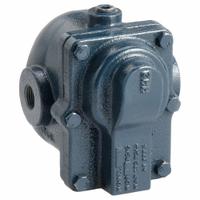 Steam Trap: Cast Iron, 1/2 in FNPT, 1,200 lb/hr, 15 psi Max., 353°F Max., In-line (MPN 15BI2). Key specifications — Brand: ARMSTRONG INTERNATIONAL; Installation Orientation: Horizontal; Float Material: Stainless Steel; Manufacturer Series: BI.