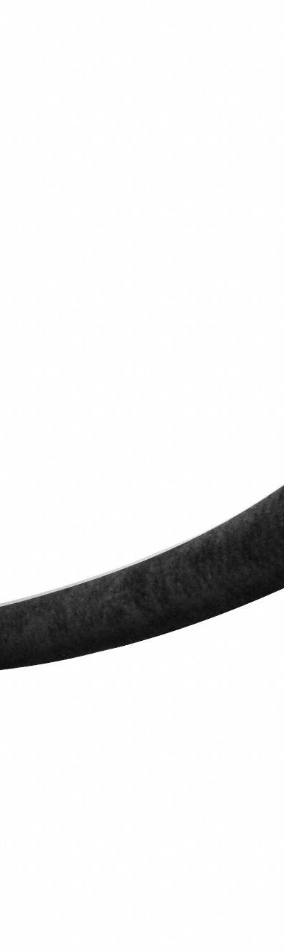 VISIONTRON Barrier Rope: Black, 6 ft Overall Lg, Velvet, Snap End - Barrier Ropes