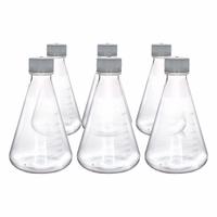APPROVED VENDOR Erlenmeyer Flask: Erlenmeyer, PETG, 1 L, 33.81 fl oz, Sterile (MPN CH5234PK06). Key specifications — attr1370443: +/-0.20 mL; attr1370476: APPROVED VENDOR; attr1370481: Yes; attr1370482: Yes.