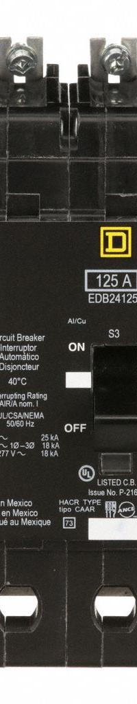 SQUARE D Miniature Circuit Breaker: 125 A, 277/480V AC, Single Phase, 18kA at 277/480V AC, 2 Poles (MPN EDB24125). Key specifications — Phase: Single; Amps: 125 A; AC Voltage Rating: 277/480V AC; Max. AIR Rating: 18kA at 277/480V AC; For Use With: Square D NF Panelboards; Brand: SQUARE D.