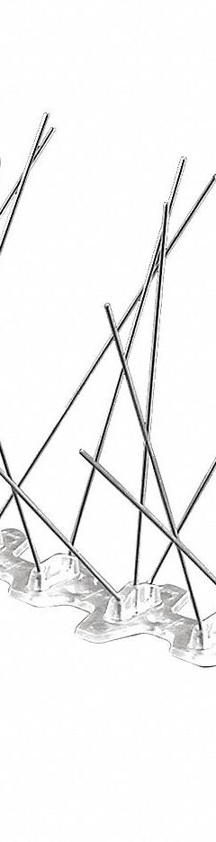 BIRD BARRIER Bird Repellent Spikes: Std, Plastic Base, Silver, 100 ft Overall Lg, 5 in Overall Wd (MPN BP-F2100). Key specifications — Brand: BIRD BARRIER; Spike Material: Stainless Steel; Targeted Birds: Pigeons; Base Material: Plastic; Ledge Width: Standard.
