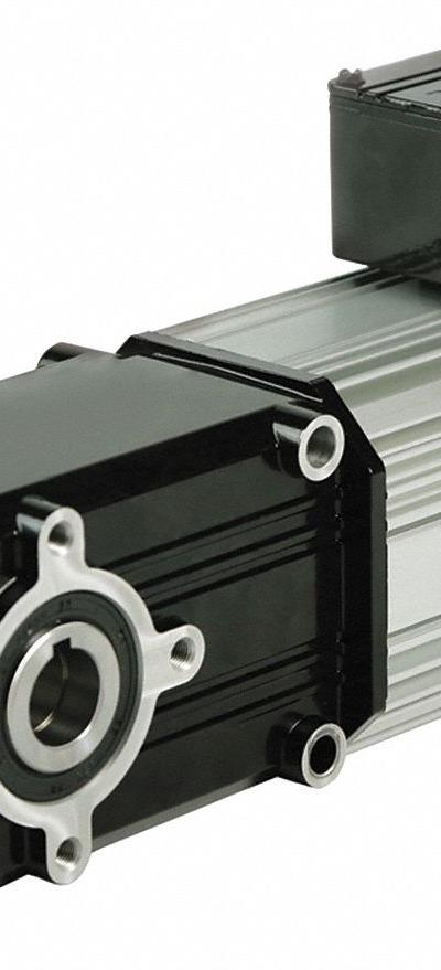 BISON AC Gearmotor: Right Angle - Hollow Shaft Right Angle AC Gearmotors