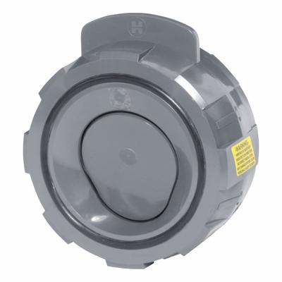 HAYWARD Swing Check Valve: Swing, 2-Way, Inline Valve Body, 10 in Pipe Size, Wafer - CPVC Inline Swing Check Valves