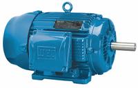 WEG General Purpose Motor: Rigid Base Mount, Totally Enclosed Fan Cooled, 50 hp, 230/460V AC (MPN 05018ET3E326T-W22). Key specifications — Brand: WEG; Nameplate Voltage @ 60 Hz: 230/460V AC; Full Load Current @ 60 Hz: 118.0/59.2 A; Nameplate RPM @ 60 Hz: 1,775 RPM; Motor Enclosure: TEFC.