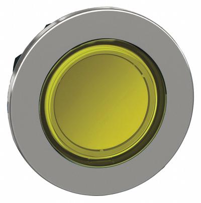 SCHNEIDER Push Button Head: 30 mm Panel Size, Illuminated, Metallic - Heads for Push Buttons