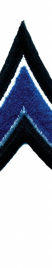 HEROS PRIDE Embroidered Patch: PFC, 3 1/2 in, Black, Polyester/Rayon, Rank Insignia, 1 PR (MPN 5425P). Key specifications — attr188498: 3-1/2 in; attr188499: Black; attr188500: Rayon; attr188503: PFC; attr193746: HEROS PRIDE.