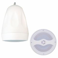 SPECO TECHNOLOGIES Speaker System: Passive, 2-Way, 8 ohm Impedance, 12 1/2 in Overall Ht, SP6PTW. Key specifications — attr1056470: Outdoor; attr1056495: Passive.