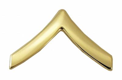 HEROS PRIDE Metal Emblem: Private, 3/4 in, Gold, Metal, Clutch Pin, Rank Insignia - Metallic Insignia