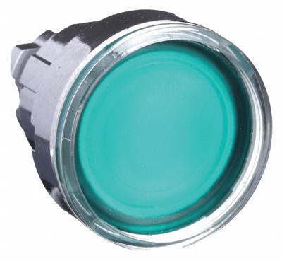 SCHNEIDER Flush Push Button: Green, 22 mm Mounting Size, Metallic - Illuminated Flush-Mount Push-Button Operators