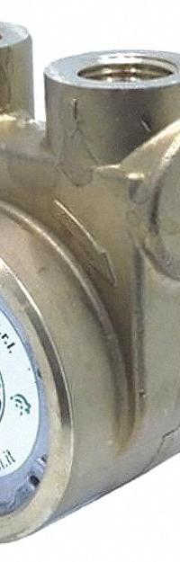 FLUID-O-TECH Rotary Vane Pump: Direct Drive, Stainless Steel Body, 1/2" NPT, 140 gph Max. Flow (MPN PA 510). Key specifications — Vane Material: Carbon; NSF 169 Listed: Yes; Brand: FLUID-O-TECH; Strainer: Not Included; Ports: 1/2" NPT; Relief Valve Type: Not Included.