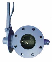 VAL-MATIC Butterfly Valve: 10 in Pipe Size, 150 psi Max. Pressure (CWP), Lug, For Water Media, Lever (MPN 2010-CD4B5N-L3-1). Key specifications — Brand: VAL-MATIC; Handle Type: Lever; Disc Material: Ductile Iron.