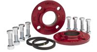 ARMSTRONG Flange Kits: 2 in, 806074-111K, 2 in FNPT, Flange, 2 Flanges Included. Key specifications — Includes: Hardware Kit; Manufacturer Part Number: 806074-111K; Compatible with Manufacturer Model Number: 1050-2; Body Material: Cast Iron; Gasket Material: EPDM.