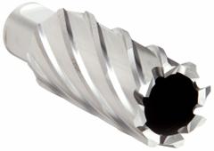 SLUGGER BY FEIN Annular Cutter: 28 mm Cutter Dia, 2 in Max Cutting Dp, Bright, High Speed Steel (MPN 63134279002). Key specifications — attr253884: No; attr253885: Bright; attr253886: High Speed Steel; attr253887: Weldon Flat; attr253888: Metric; attr277149: SLUGGER BY FEIN.