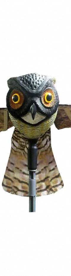 BIRD-X Owl Decoy: Black/Brown, Plastic, 6,000 sq ft Coverage Area (MPN OWL)