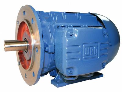 WEG General Purpose Motor: 50 hp, C-Face/Rigid Base Mount, 200L Frame Size - C-Face with Rigid Base 3-Phase IEC Metric General Purpose AC Motors