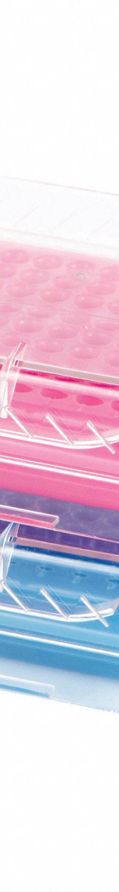 Tube Rack: Polycarbonate (Lid)/Polypropylene (Cooler), Blue/Pink, (96) Wells, 96 Compartments (MPN 120729). Key specifications — Material: Polycarbonate (Lid)/Polypropylene (Cooler); Mounting Location: Benchtop; Color: Blue/Pink; Product Type: Test Tube Rack; Total Holding Capacity: (96) Wells; Brand: HEATHROW SCIENTIFIC.