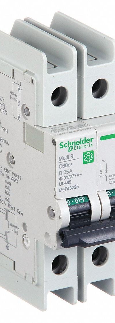 SCHNEIDER ELECTRIC IEC Miniature Circuit Breaker: 25 A Amps - D-Curve, 2-Pole UL489 DIN Rail-Mount Miniature Circuit Breakers